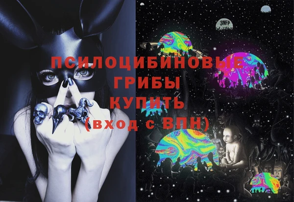 мет Козловка