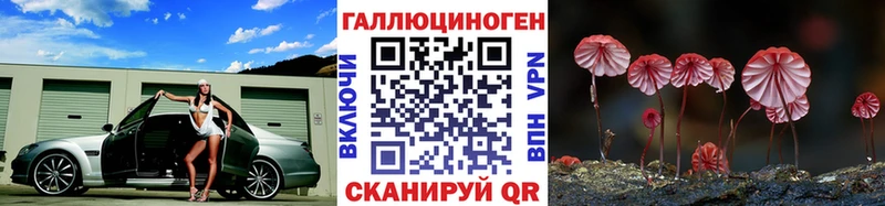 Псилоцибиновые грибы мухоморы  дарк нет Telegram  Нальчик  МЕГА зеркало 